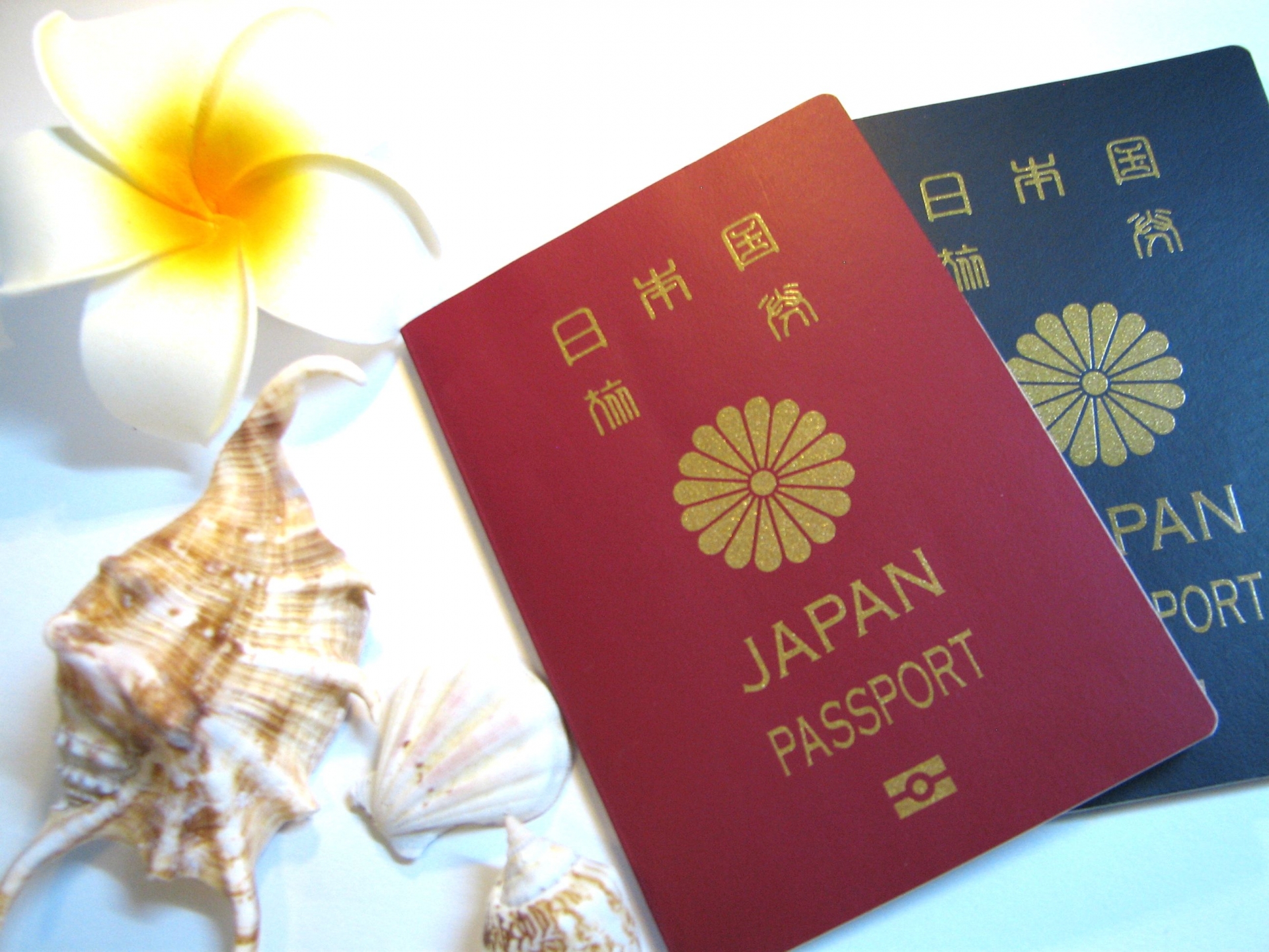 日本のパスポートは世界最強 赤 紺 緑 茶 薄茶と5色も シニアのためのハワイ旅行ガイド かゆい所に手が届く孫の手ナビ