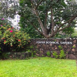 ハワイのフォスター植物園入場口を撮影した写真