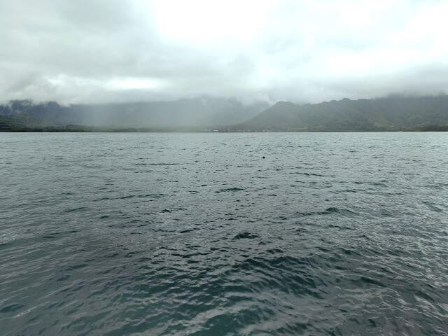 波静かなカネオヘ湾、目の前にウミガメが泳いで行くのが見えた場所の写真
