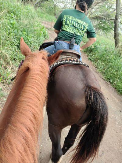 先頭を進むスタッフと、わたしが乗った馬「ラッカー」を馬の背から撮影した写真