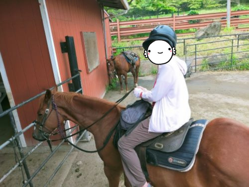 乗馬ツアーで、ヘルメットを被り手綱を持った私のスタイルの写真